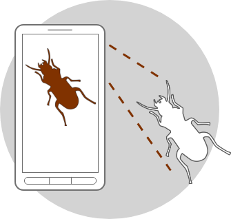 Naturbeobachtung dokumentieren
